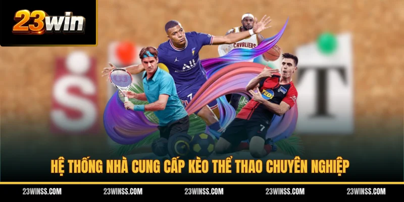 Hệ thống nhà cung cấp kèo thể thao chuyên nghiệp