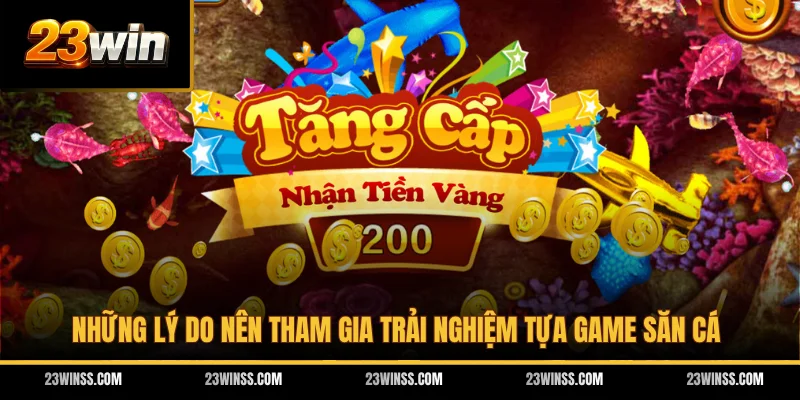 Những lý do nên tham gia trải nghiệm tựa game săn cá