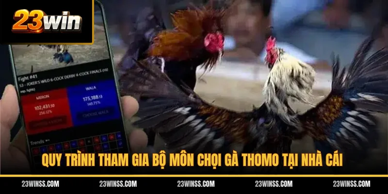 Quy trình tham gia bộ môn chọi gà Thomo tại nhà cái