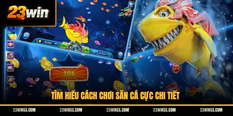 Tìm hiểu cách chơi săn cá cực chi tiết