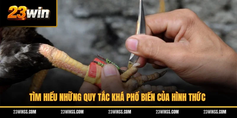 Tìm hiểu những quy tắc khá phổ biến của hình thức